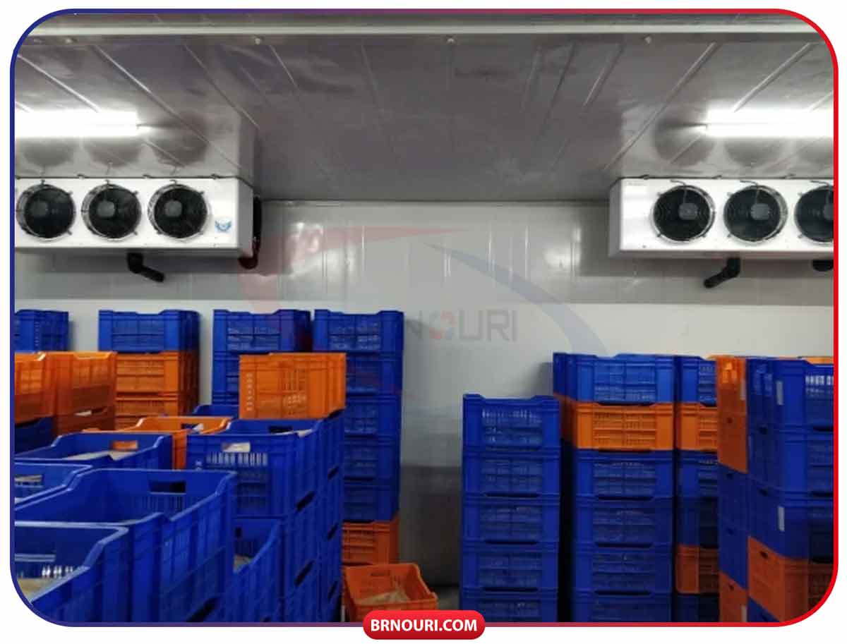 قیمت سردخانه میگو و قیمت سردخانه ماهی