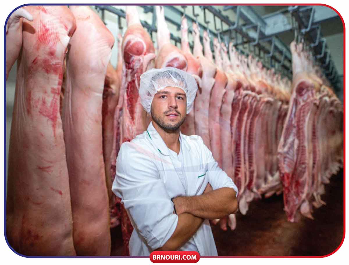 قیمت سردخانه گوشت