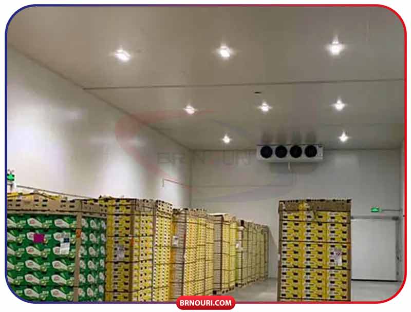 قیمت سردخانه خرما