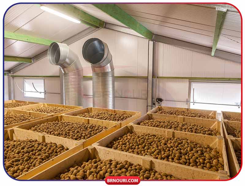 سردخانه سیب زمینی