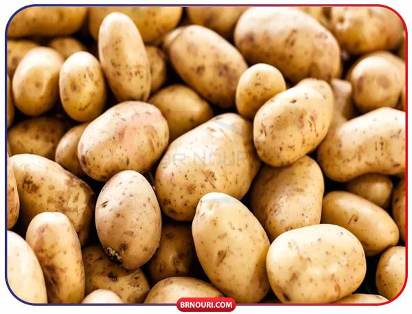 قیمت سردخانه سیب زمینی