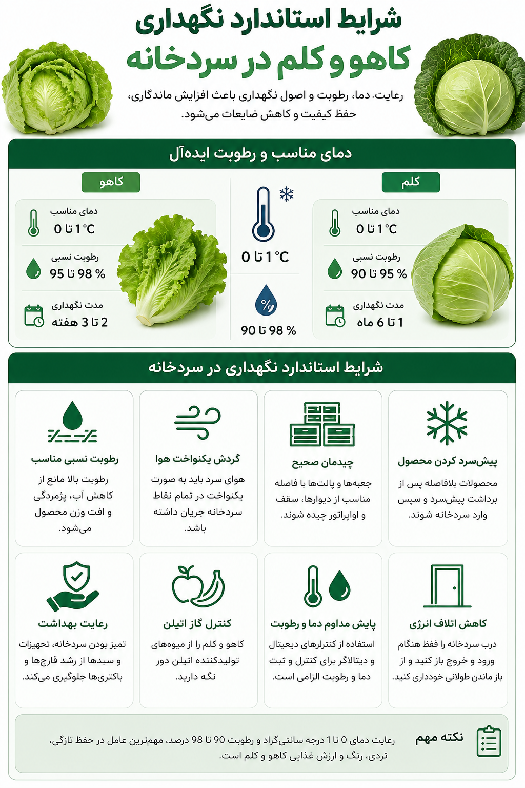 سردخانه کاهو و کلم
