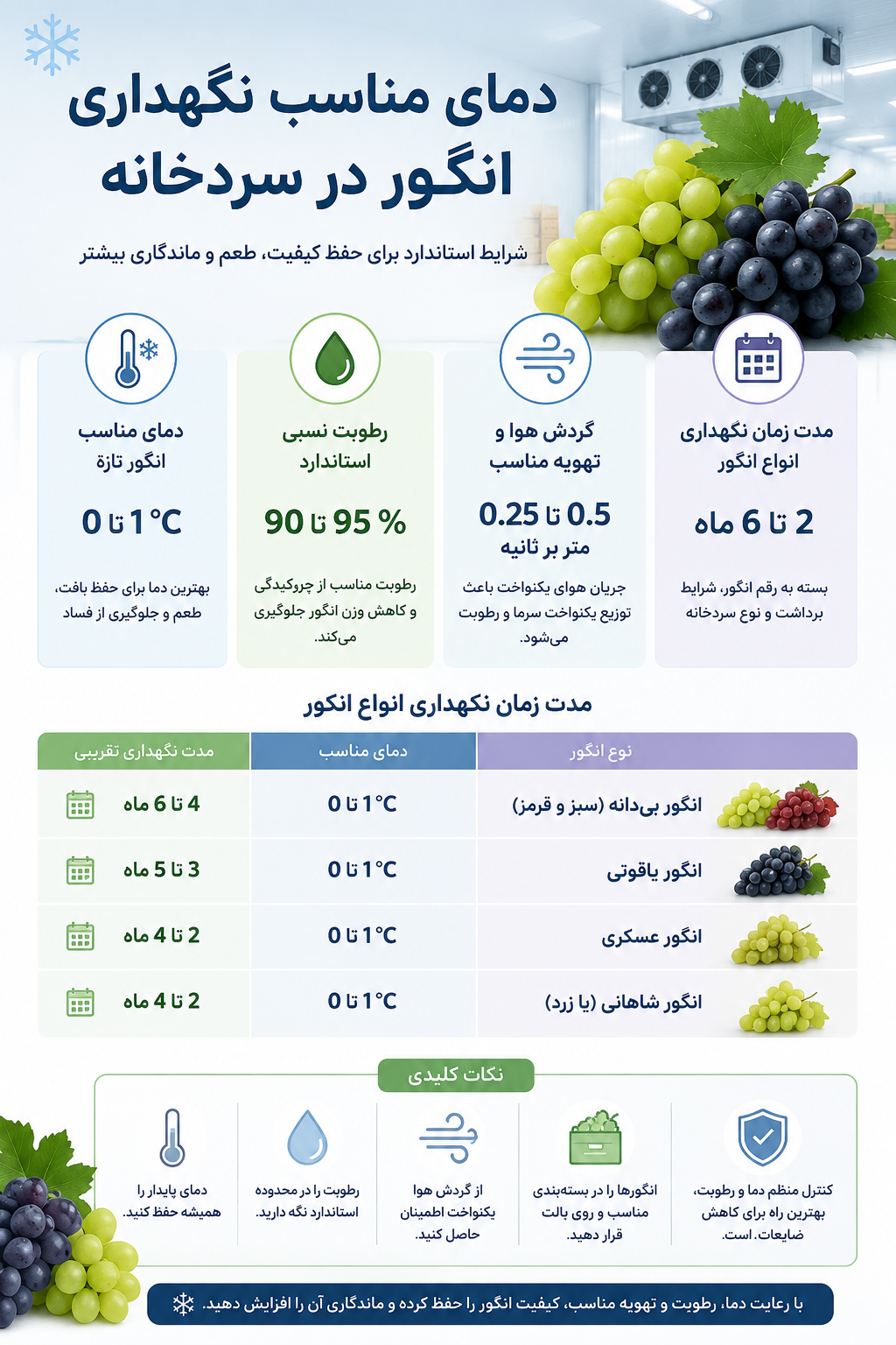 دمای مناسب نگهداری انگور در سردخانه