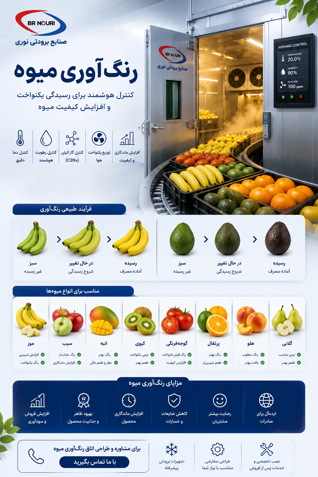 انواع میوه نیاز به رنگ آوری