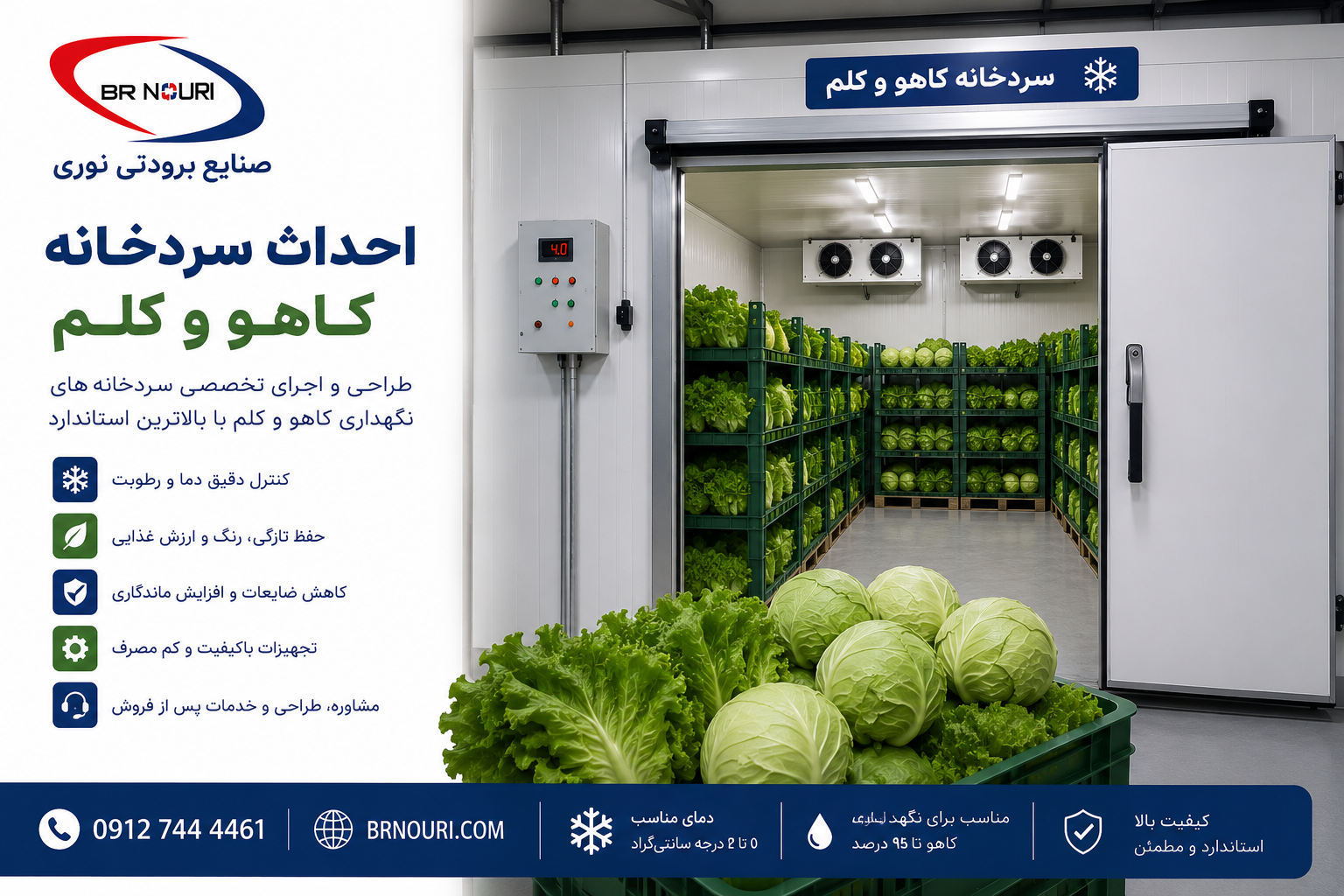 سردخانه کلم و کاهو