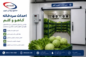 ساخت سردخانه کاهو و کلم