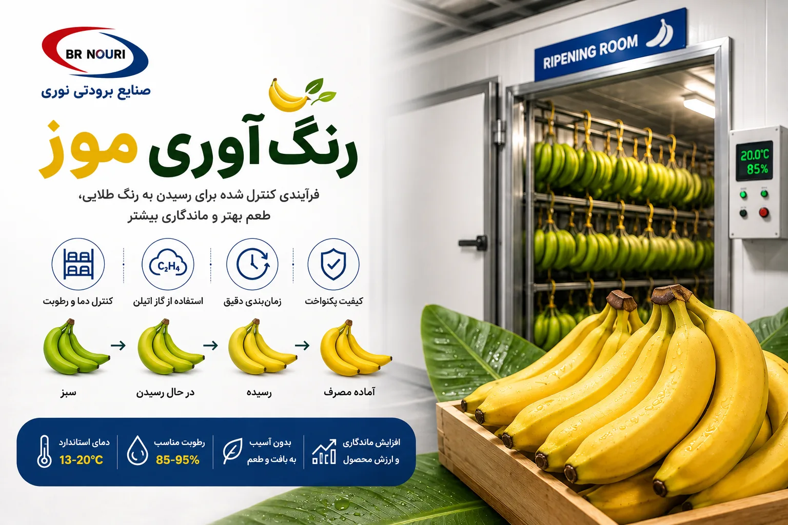 رنگ آوری موز