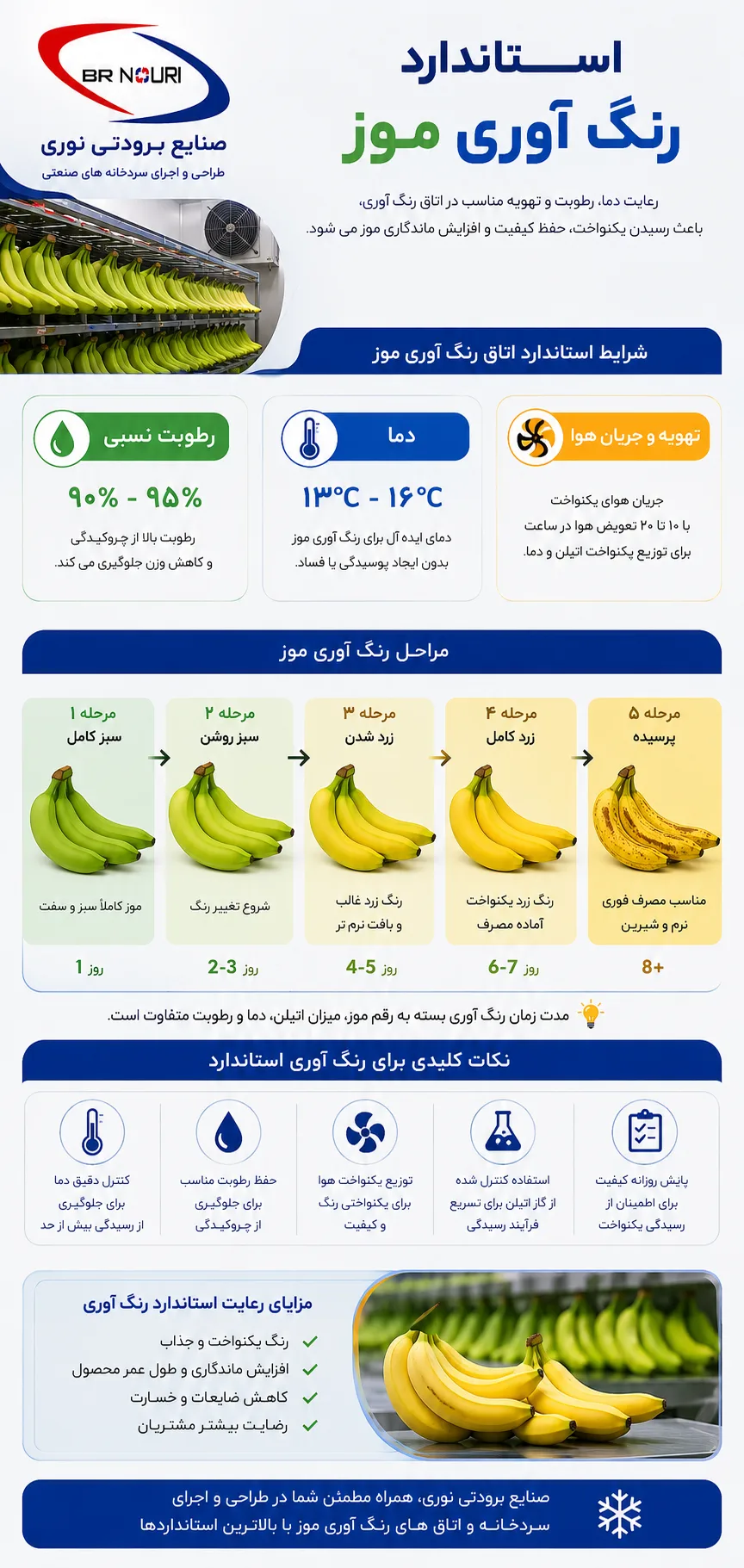 استاندارد رنگ آوری موز