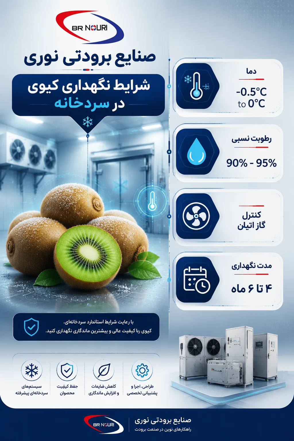 شرایط نگهداری کیوی در سردخانه
