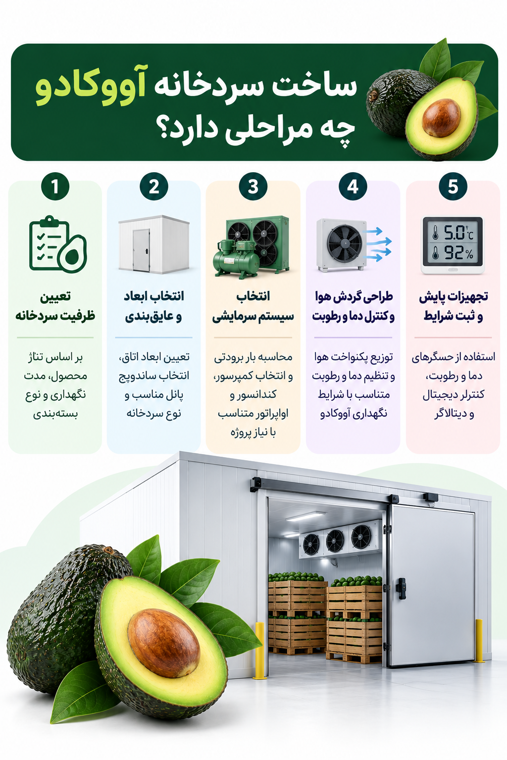 Avocado Cold Storage Infographic