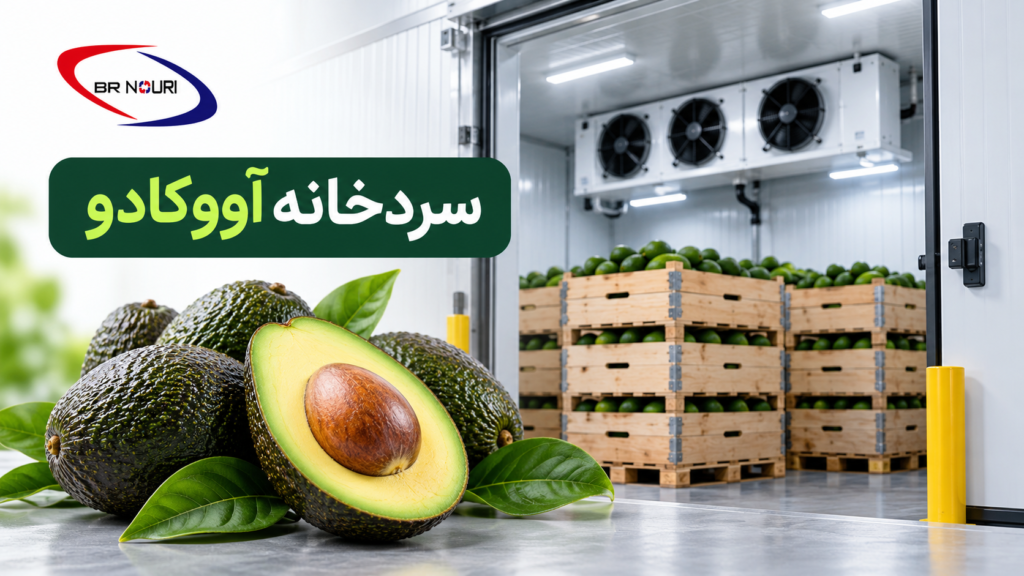Cold Storage Avocados_ Freshness Preserved