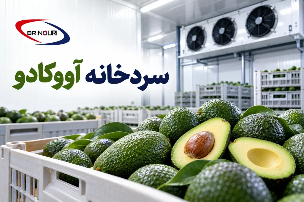 سردخانه آووکادو