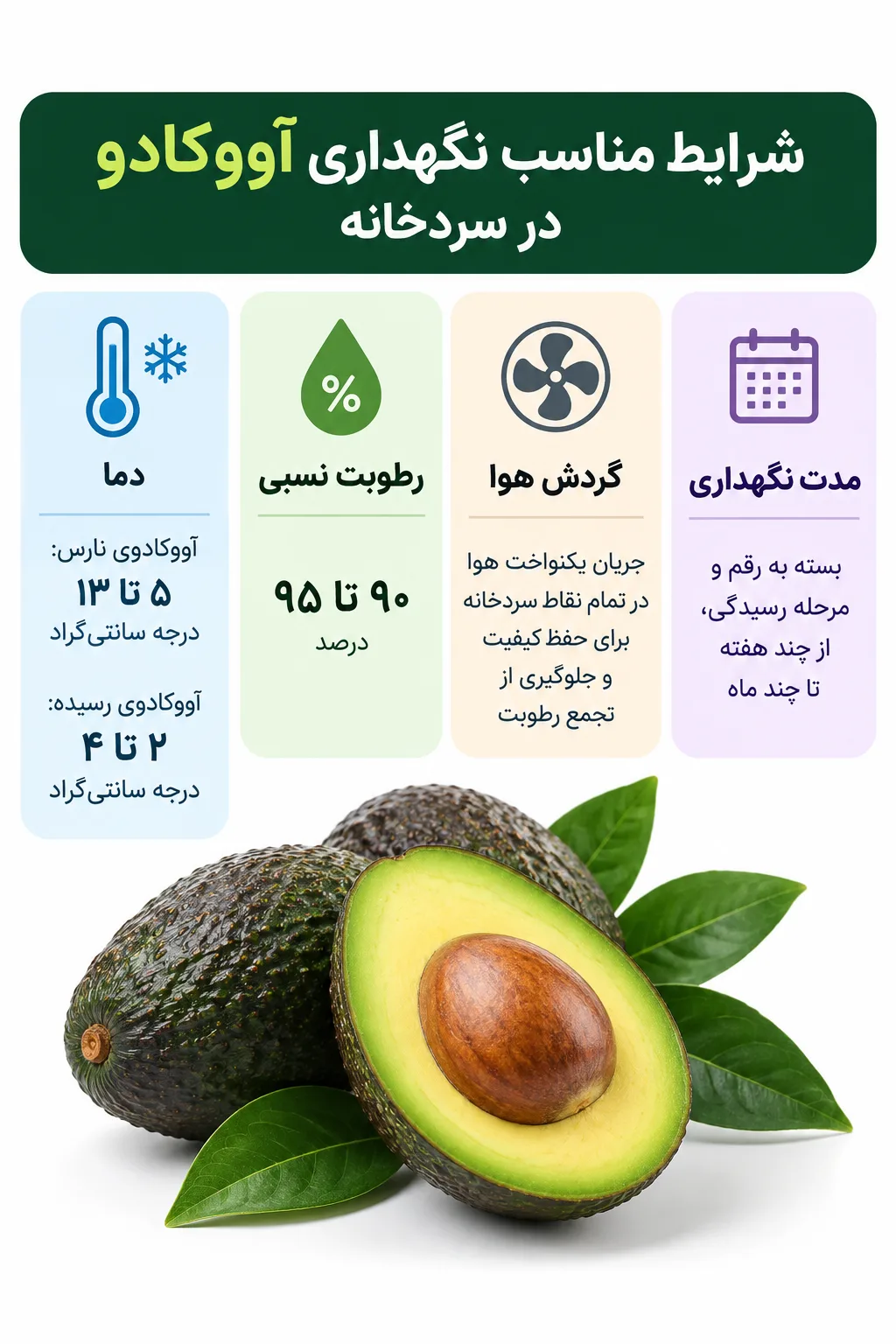 شرایط نگهداری آووکادو در سردخانه