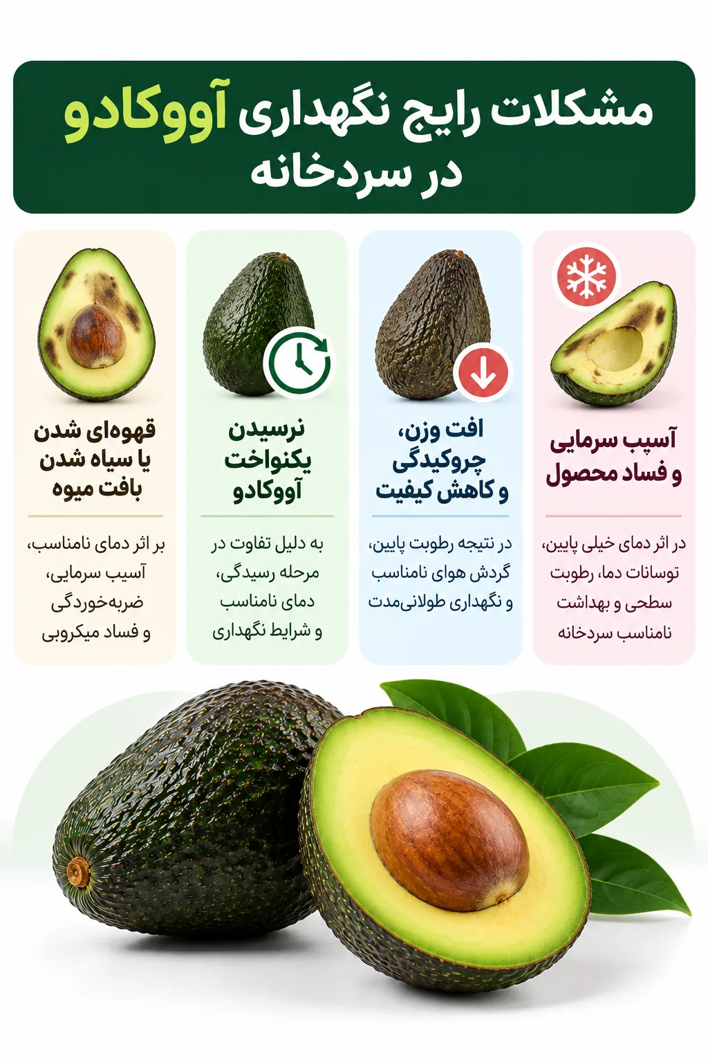 مشکلات نگهداری آووکادو در سردخانه